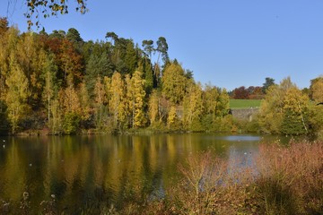 Fototapeta na wymiar La végétation sauvage en automne à l'étang de la Ferme au parc Solvay de la Hulpe
