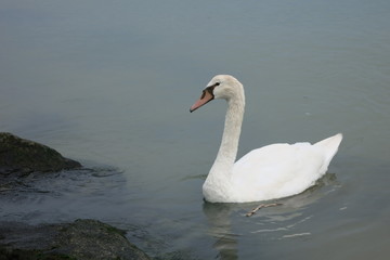 Obraz premium Осень на море