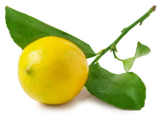 Lemon with leaf isolated on white