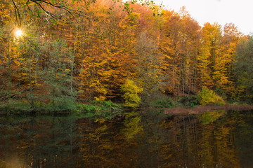 autumn nature, color nature