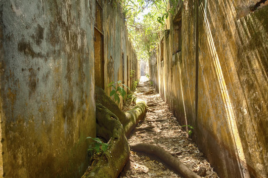 Le Bagne de l'&icirc;le Saint Joseph-guyane