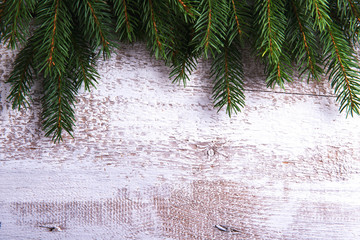 Tree branches on wooden background