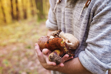 Man picking mushrooms