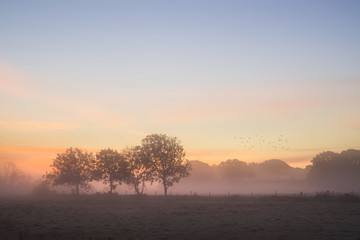 Fototapeta na wymiar Stunning vibrant Autumn foggy sunrise English countryside landsc
