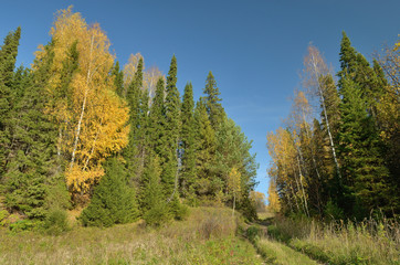 Fototapeta na wymiar sky forest meadow hills autumn, fall