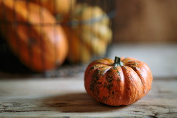 Pumpkin