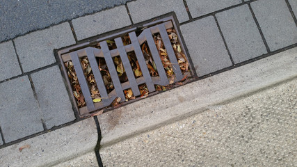 Ein mit Laub verstopfter Gulli