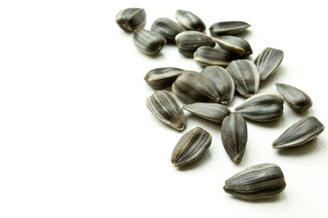 sunflower seeds closeup on white background