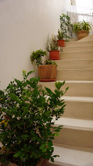 Naklejka premium stiars in traditional greece village fira on santorini island