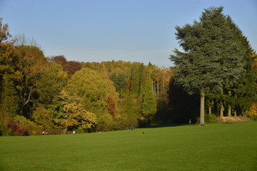 Fototapeta na wymiar Les couleurs de l'automne dans un coin du parc Solvay de la Hulpe 