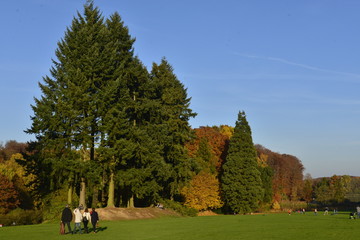 Fototapeta na wymiar Promenade en automne devant la nature exceptionnelle du parc Solvay de la Hulpe
