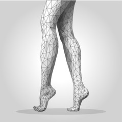 polygonal female legs standing on tiptoes monochrome mesh