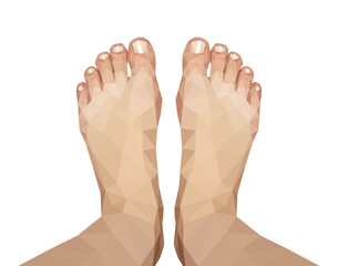 polygonal foot captured above on white background
