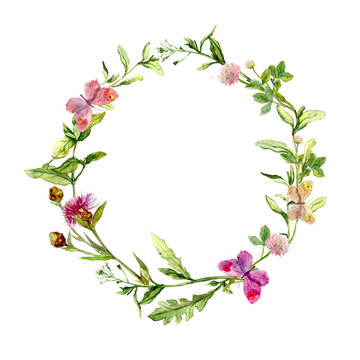 Wreath border frame with wild herbs, meadow flowers and butterflies. Watercolour 
