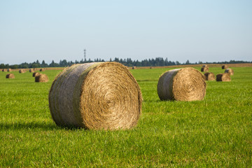 Hay rolls © YuliaB