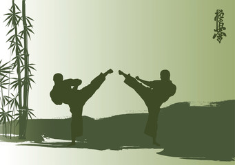 Men are engaged karate. © zhelunovych