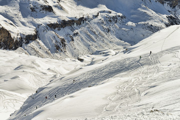 Alpine freeriding group of people have fun
