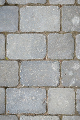 Close-up of paving stones