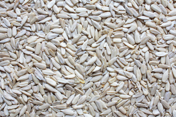 Sunflower seeds