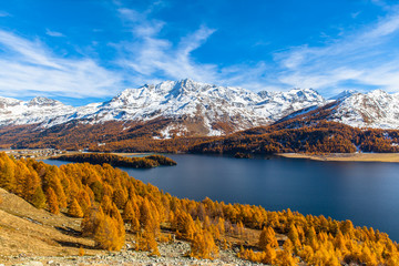 Fototapeta na wymiar Stunning view of Sils lake in golden autumn