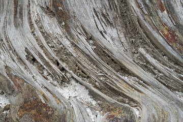 textura madera
