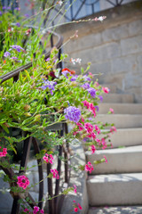 Multicolored flowerbed on a front of a stone building staircase