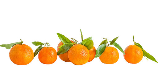 Orange tangerines on a white background