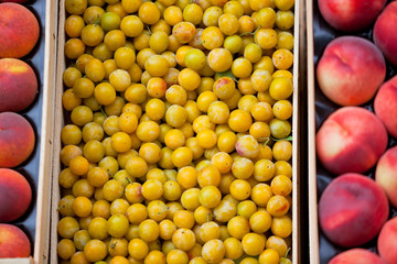 Fresh yellow plums and nectarines selling in a market