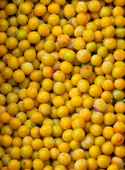 Fresh yellow plums as a background