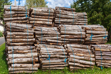 Big pile of wood logs