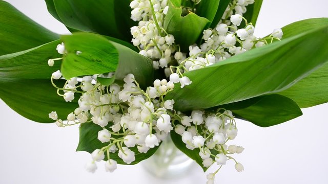 Lilies of the valley in a vase