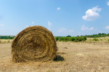 Hay bale on the field