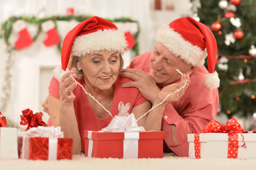 Obraz na płótnie Canvas Amusing old couple at Christmas