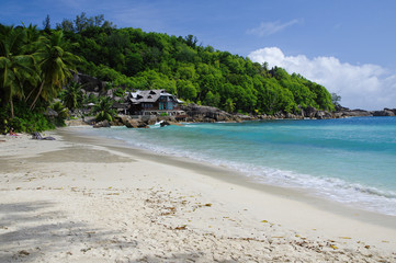 The coastline of Mahe island - The equatorial forest in the foreground, Seychelles