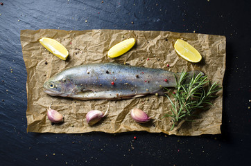 Raw trout fish with lemon, garlic, rosemary and pepper on dark background. Top view