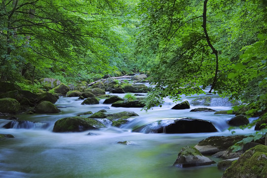 Bode Fluss - Bode river 01