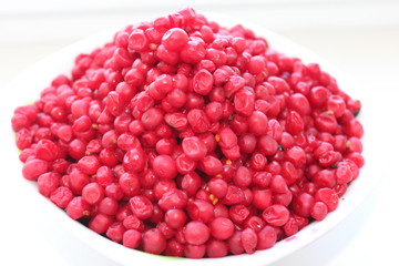 red schizandra isolated