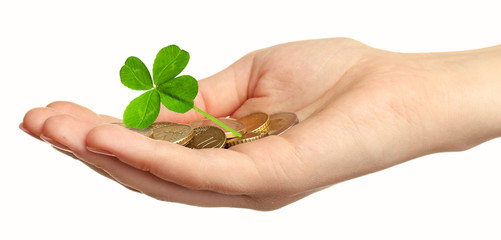 Clover leaf and euro coins in hand isolated on white