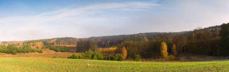 Green field at autumnal morning