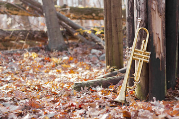 Fototapeta na wymiar Trumpet Woods Fence