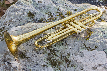 Fototapeta na wymiar Trumpet Rock Texture