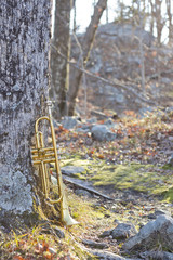 Fototapeta na wymiar Trumpet Wilderness Trail