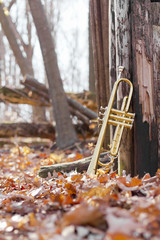 Obraz na płótnie Canvas Trumpet Woods Fence