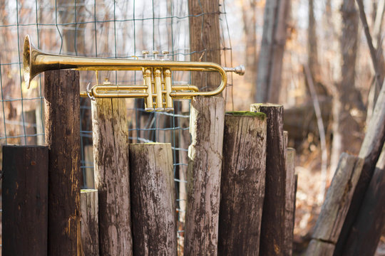 Trumpet Woods Fence