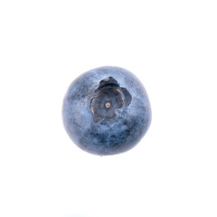 One blueberry on white background