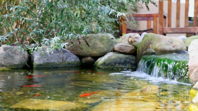 Garden koi pond waterfall over sandstone rocks with green leaves swaying in the breeze