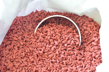 cat food in stainless bowl