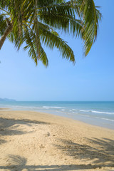 Fototapeta premium Tropical beach with coconut palm at summer time