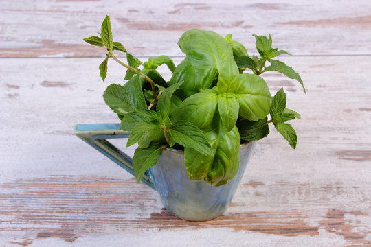 Bunch of fresh mint and basil in cup on old wooden white table