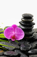 Fototapeta na wymiar zen basalt stones and pink orchid with leaf on dew 